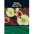 Biologia - Genética e Vida - Edição Verde - Editora Moderna