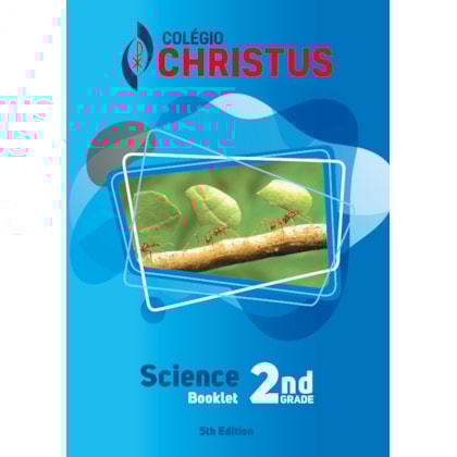 image_79d17e11-6285-4c87-b3cf-a8abfbcd3c1e